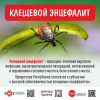 Клещевой энцефалит
