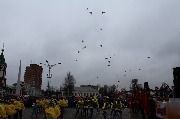 1325868183.jpeg