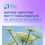 В Удмуртии продолжат бороться с борщевиком