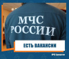 Ищешь работу? Есть вакансии!