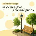 Лучший дом. Лучший двор